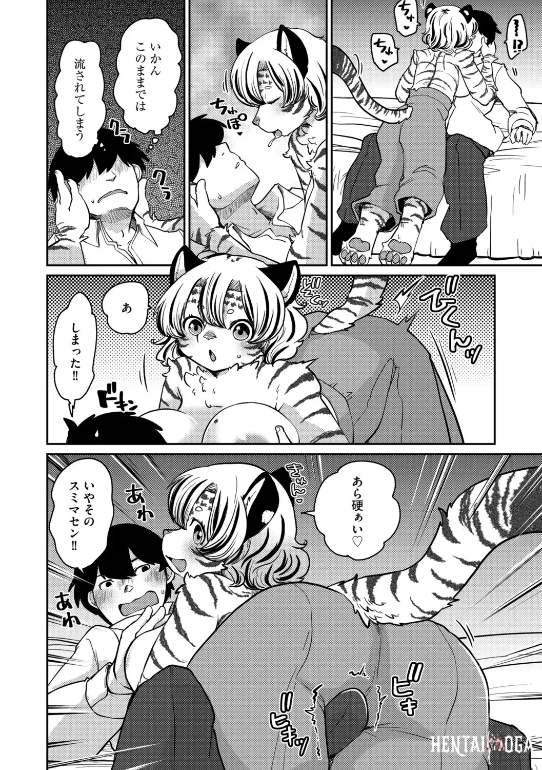 Image #40