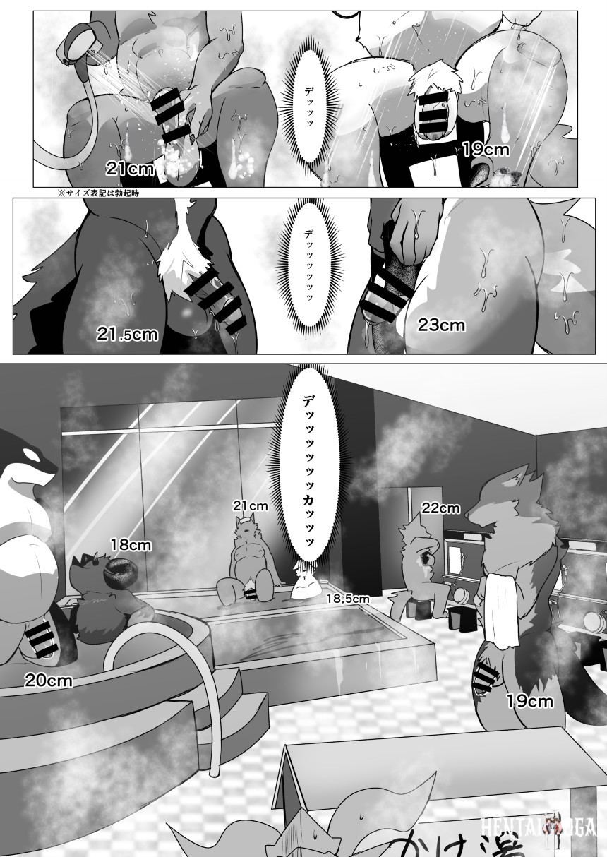 Image #5