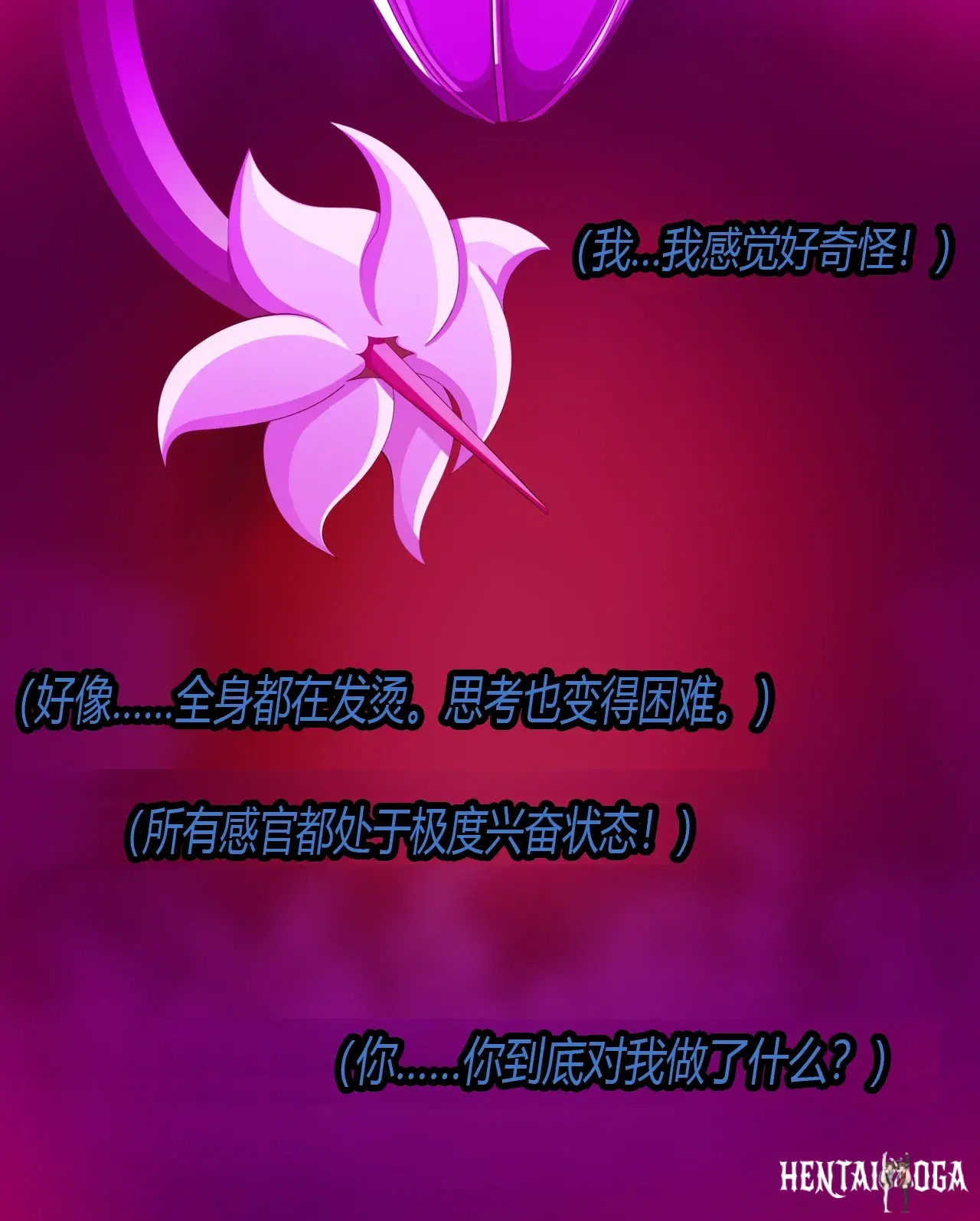 Image #13