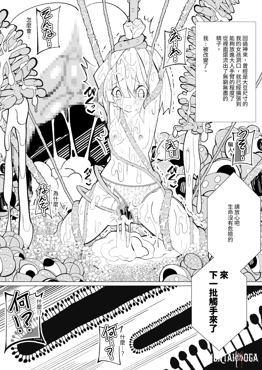 Image #47