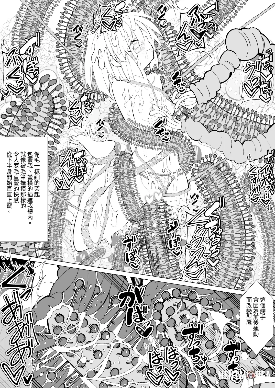Image #48