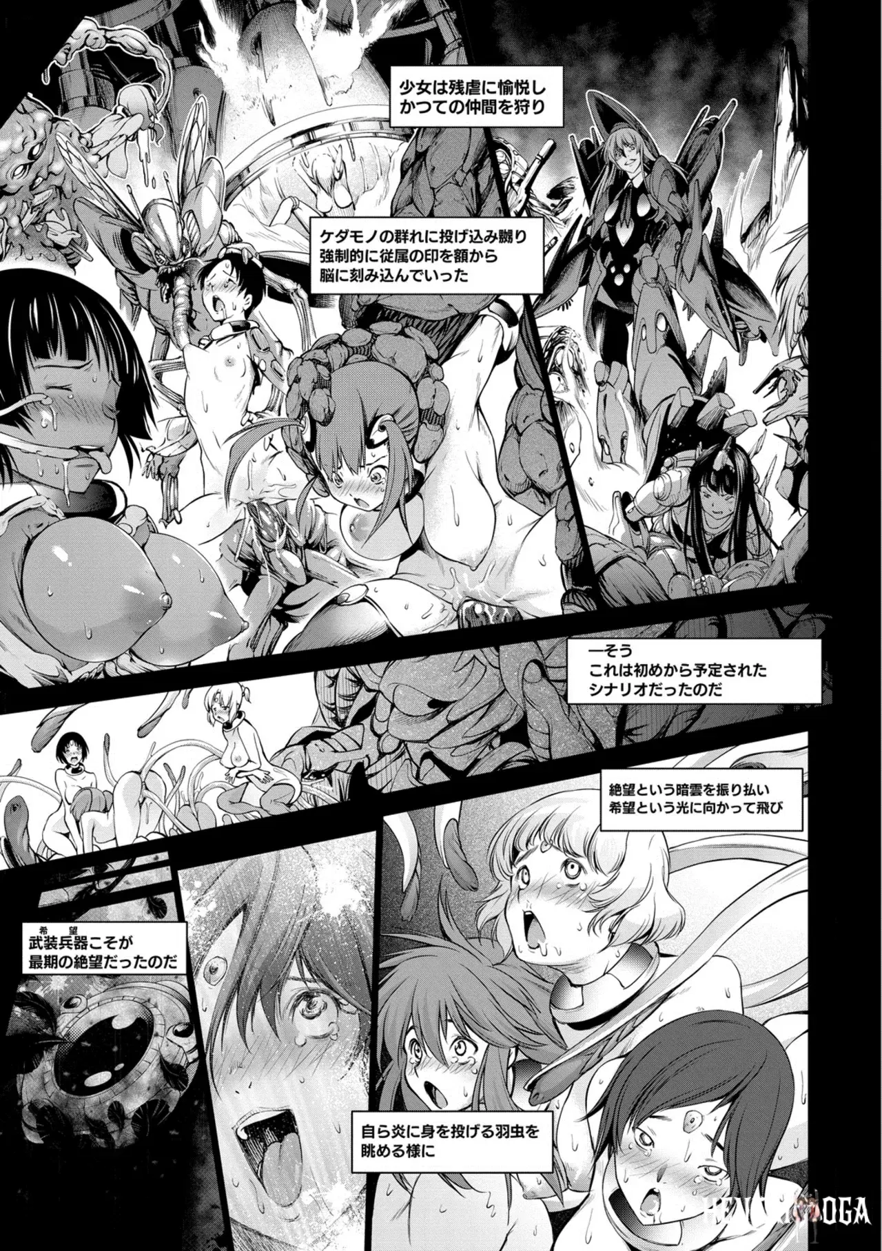 Image #7