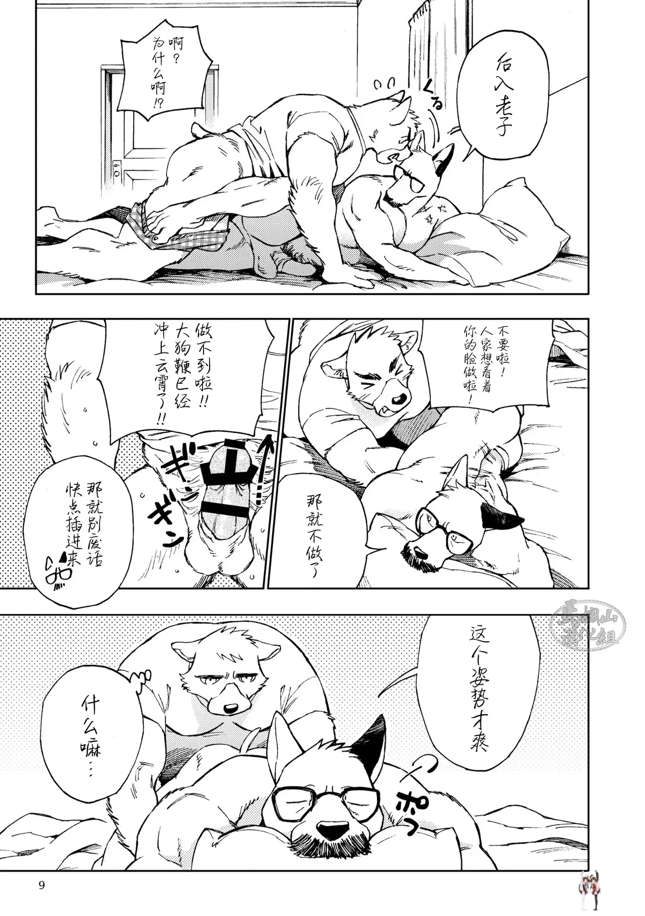 Image #12