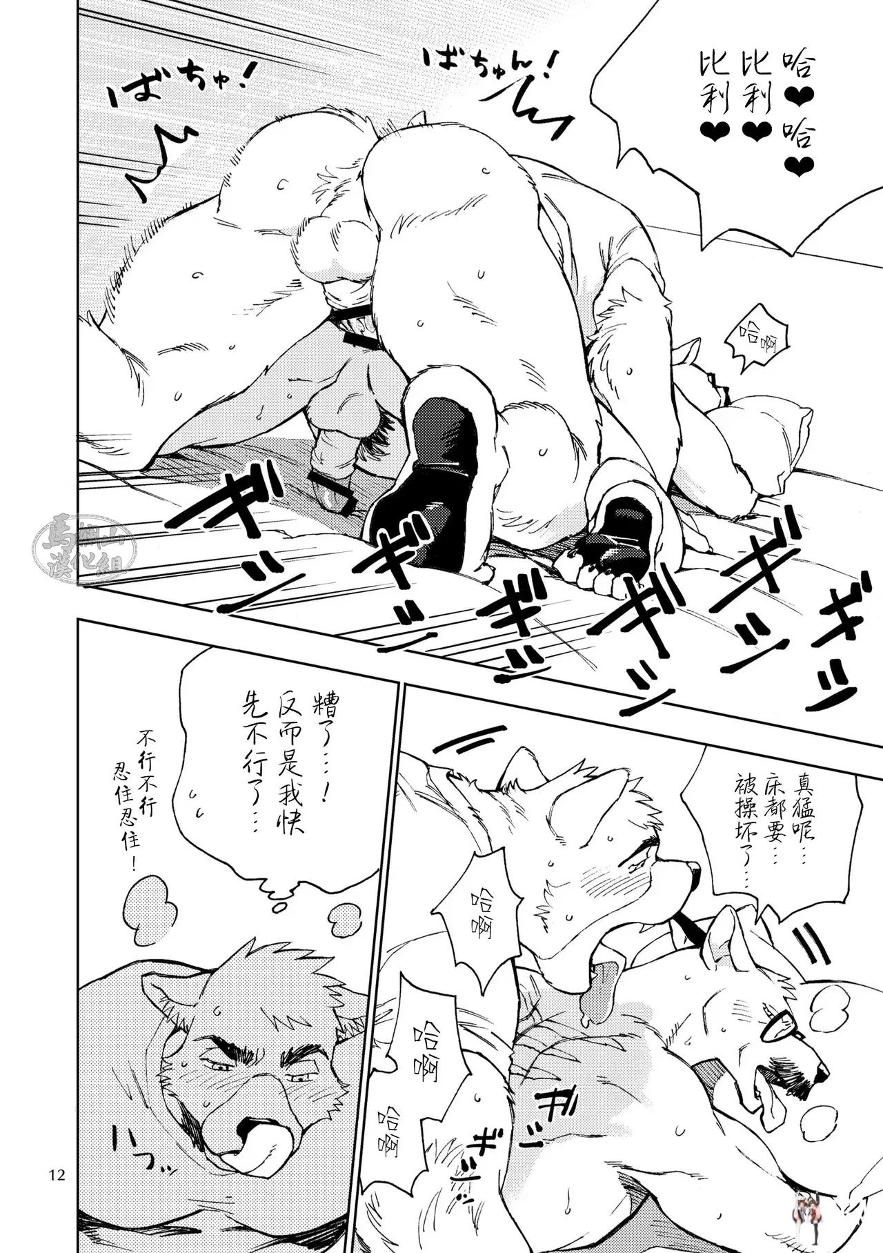 Image #15