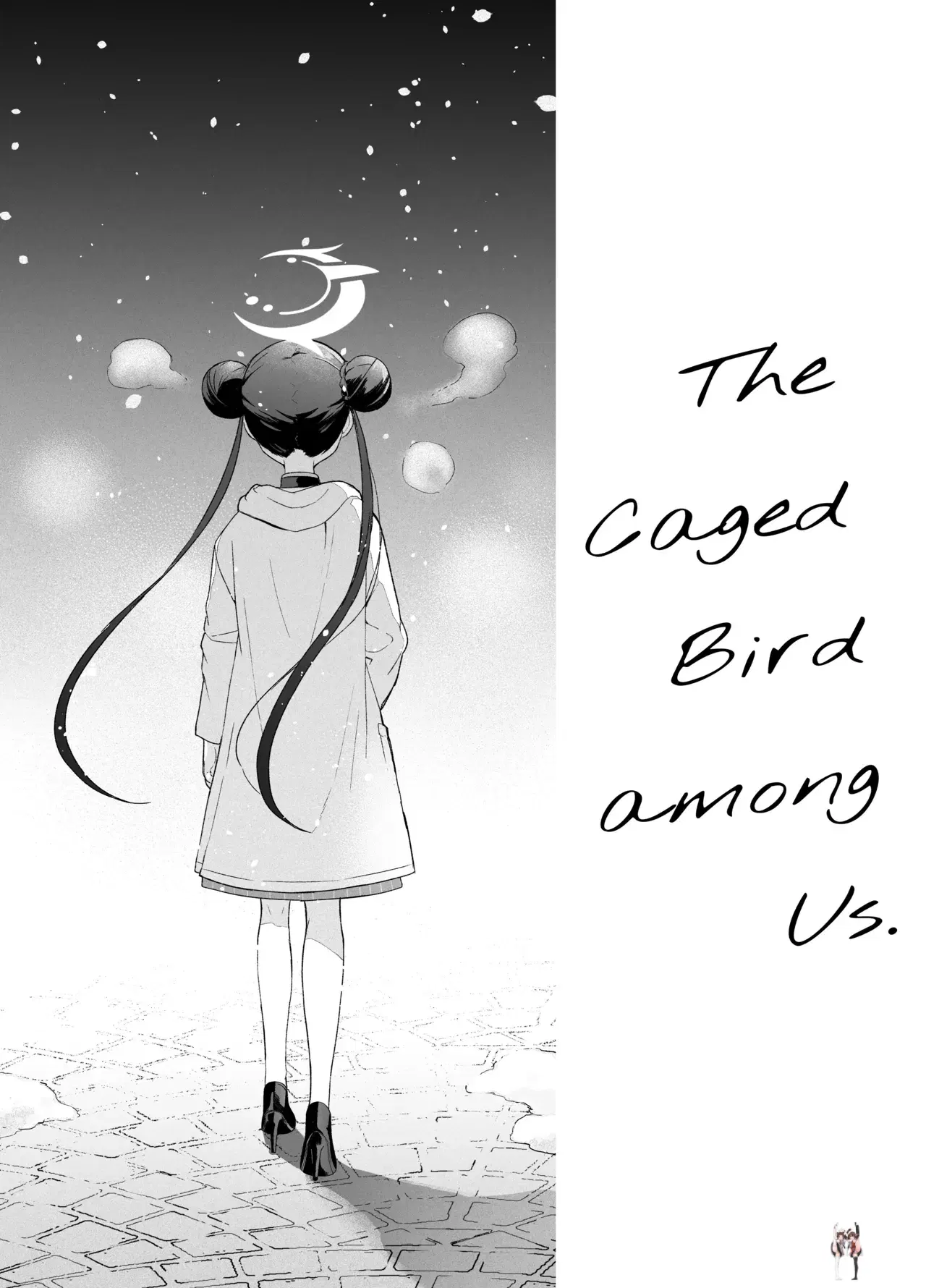 Image #22