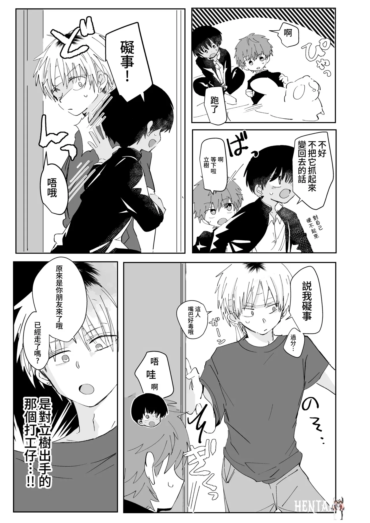 Image #12