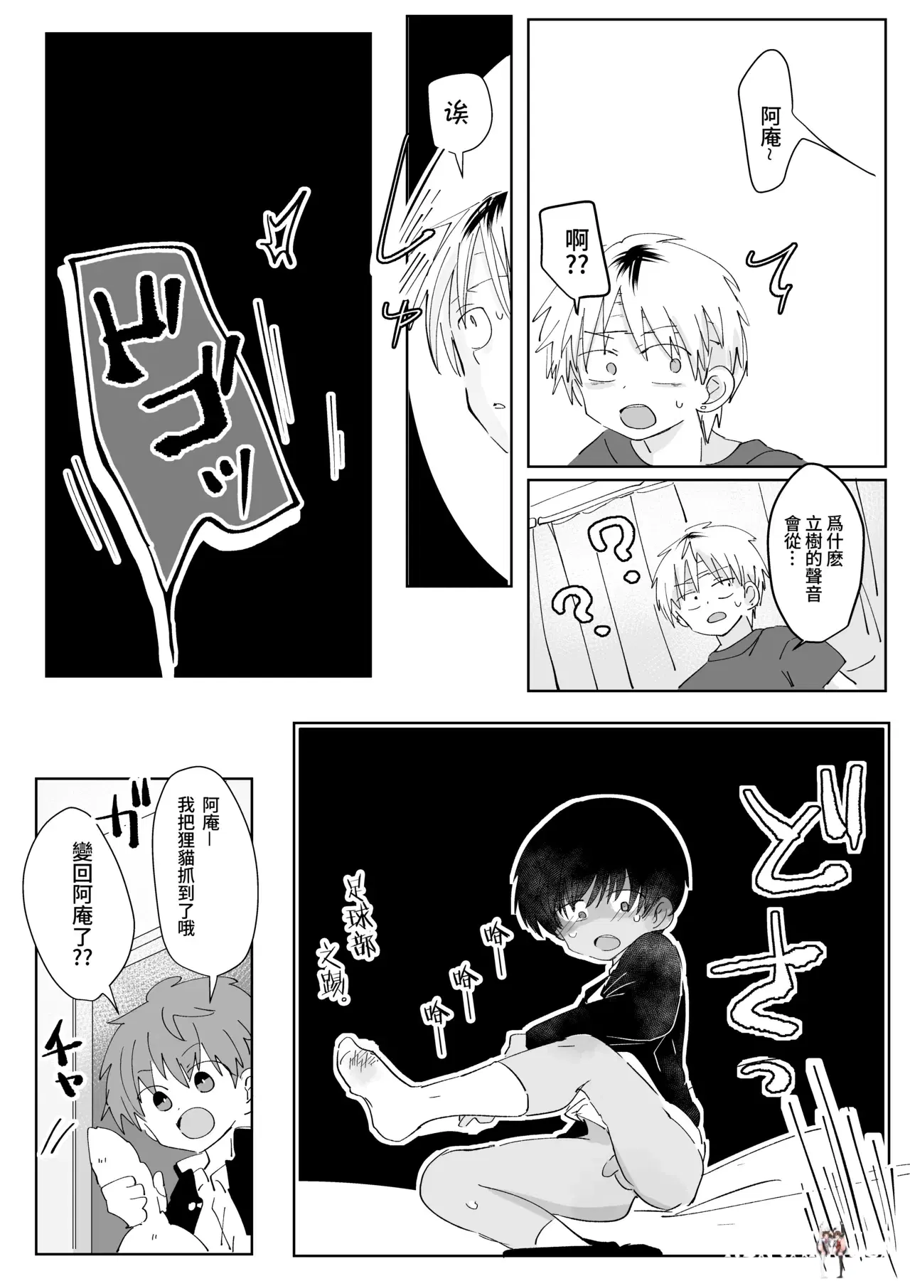 Image #26