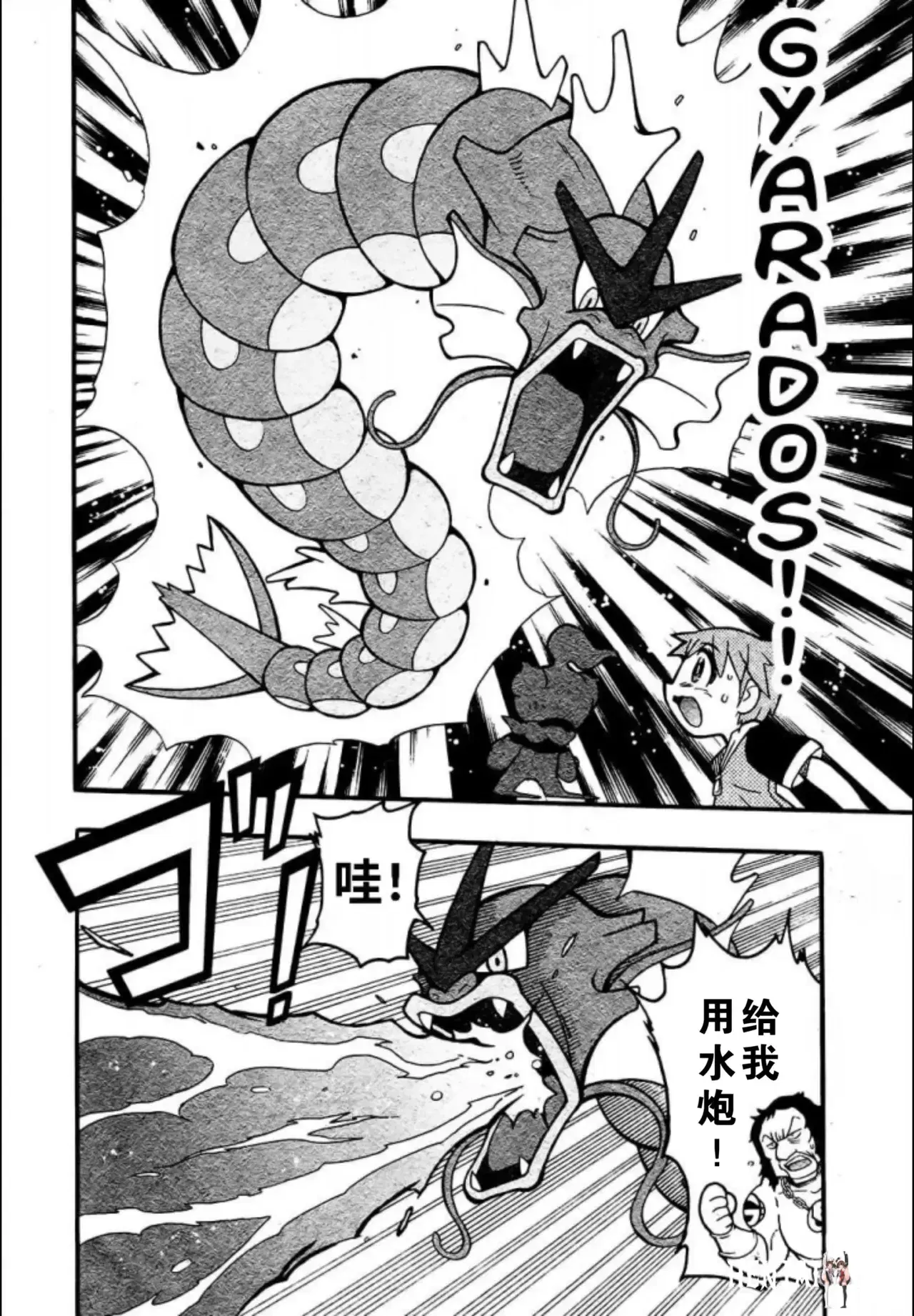 Image #21