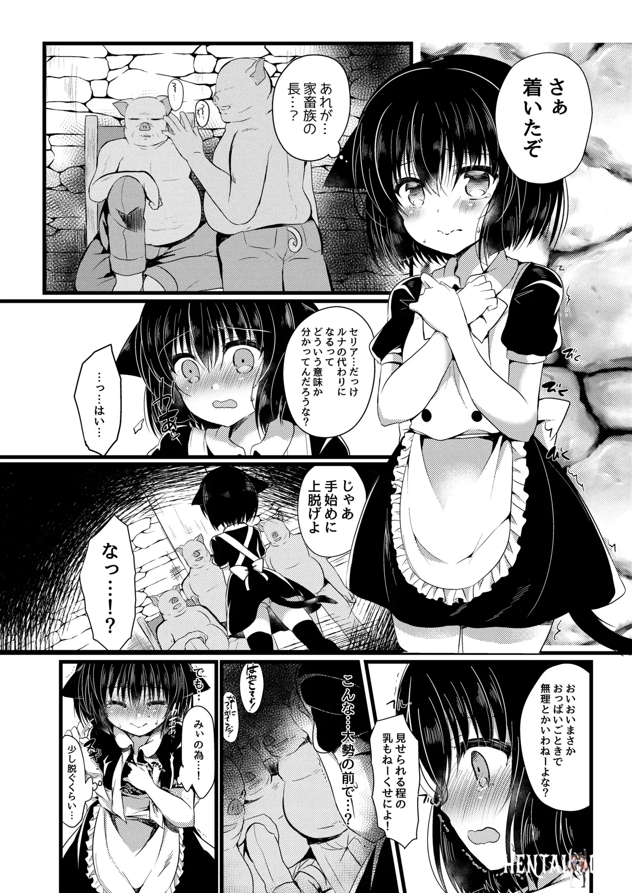 Image #46