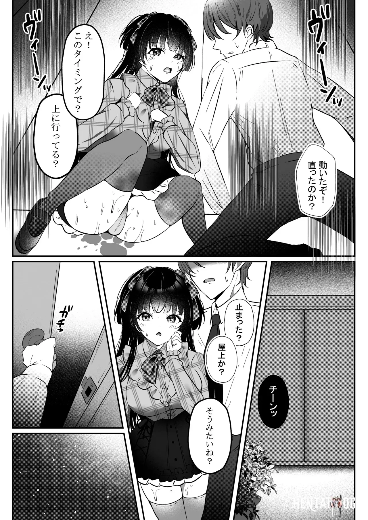 Image #11
