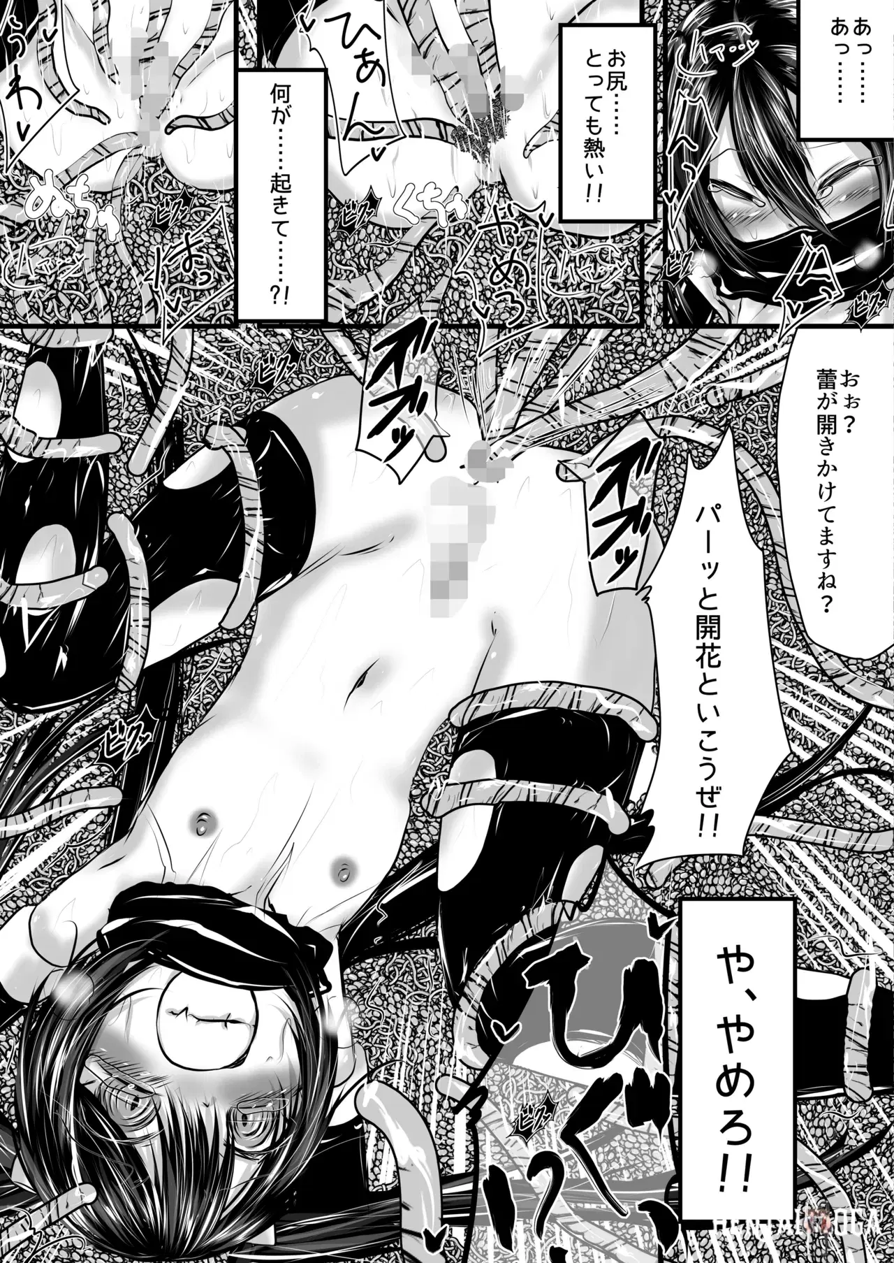 Image #11