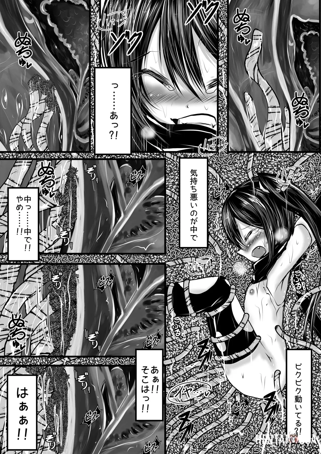 Image #12