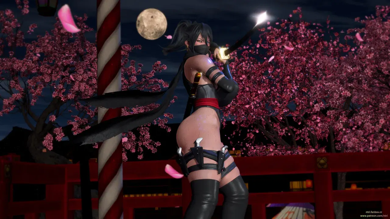 Image #342