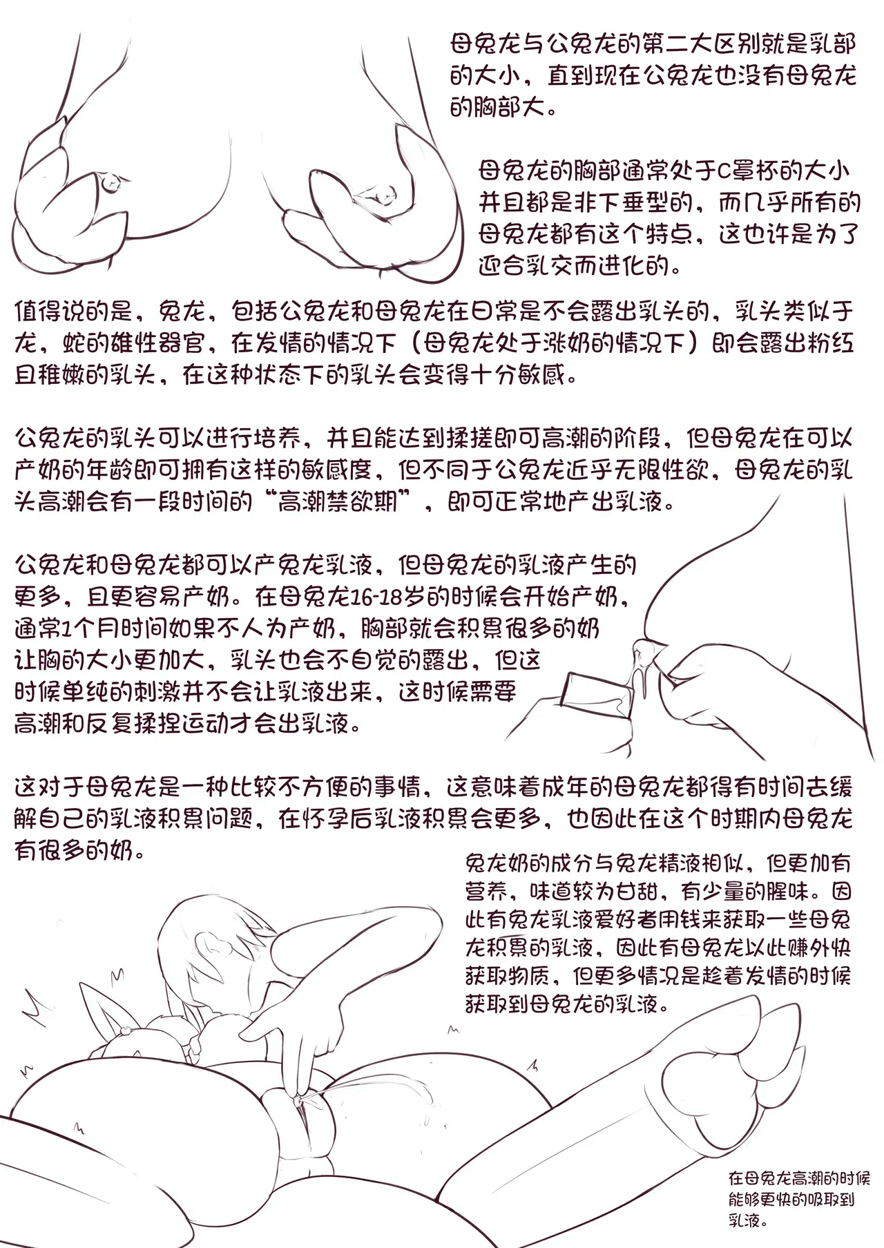 Image #12