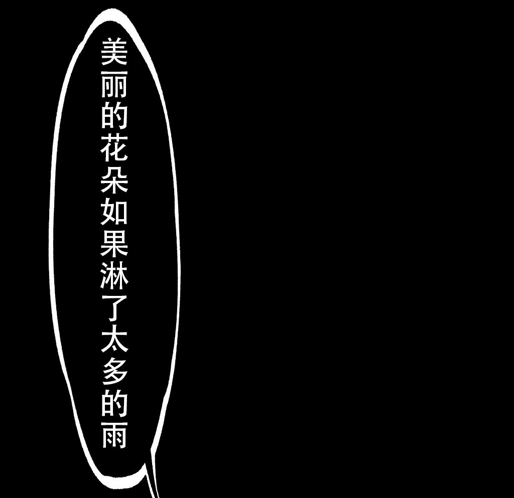 Image #14