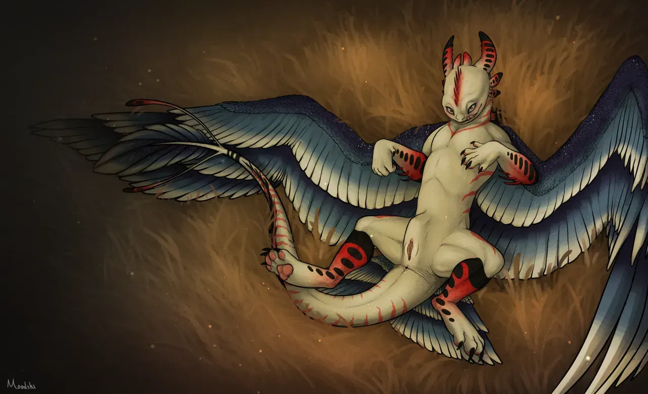 Image #120