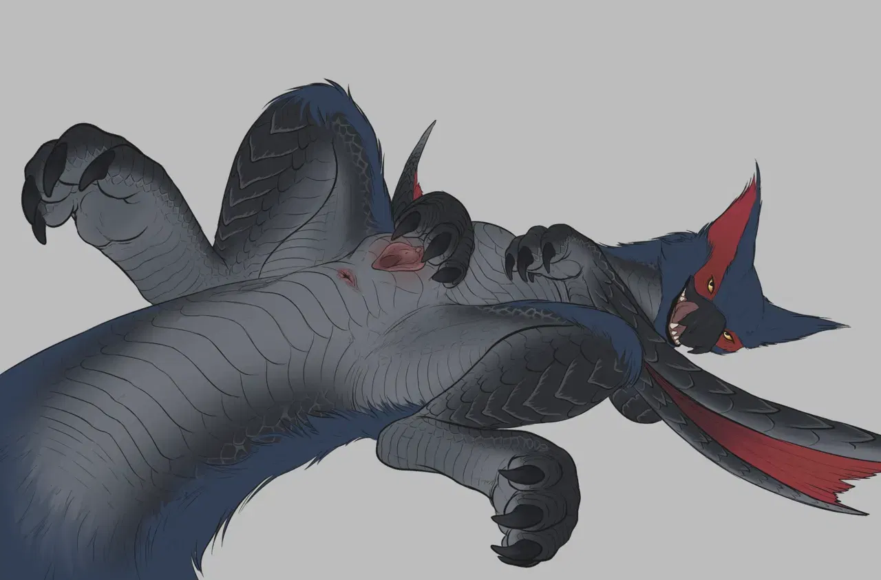 Image #14