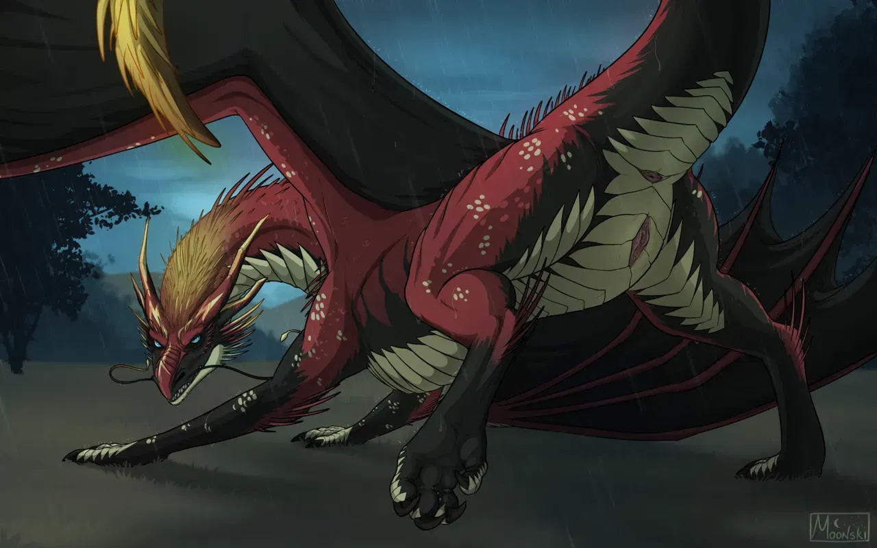 Image #170