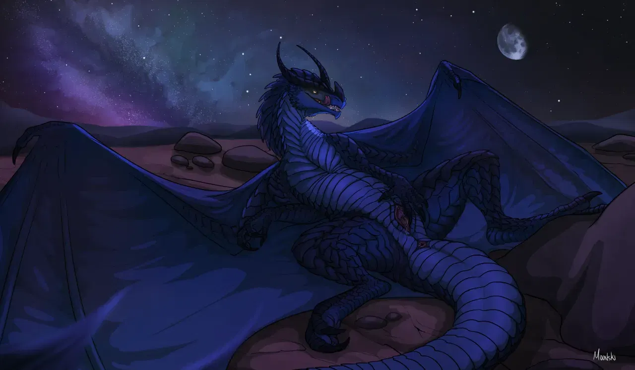 Image #18