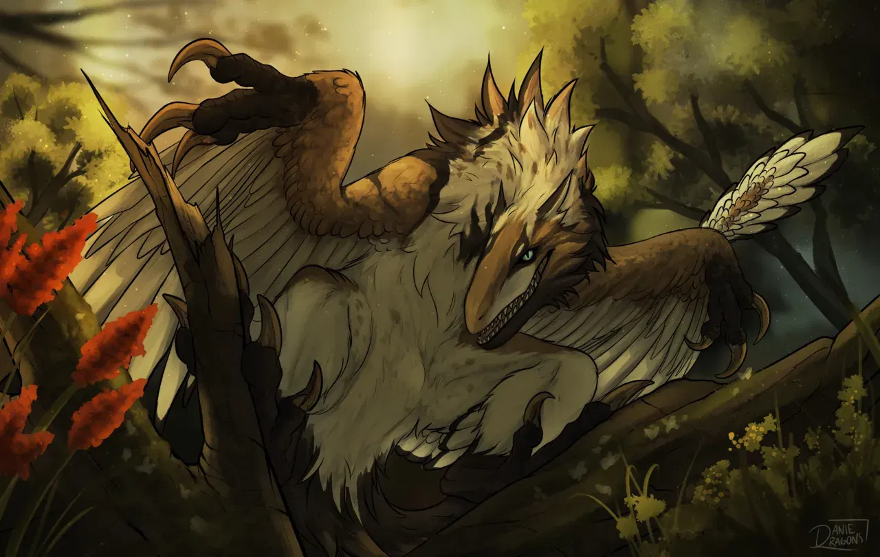Image #212