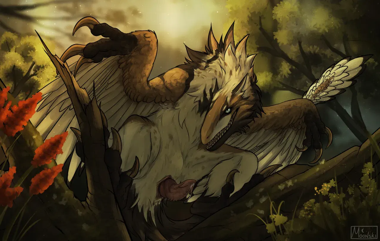 Image #213