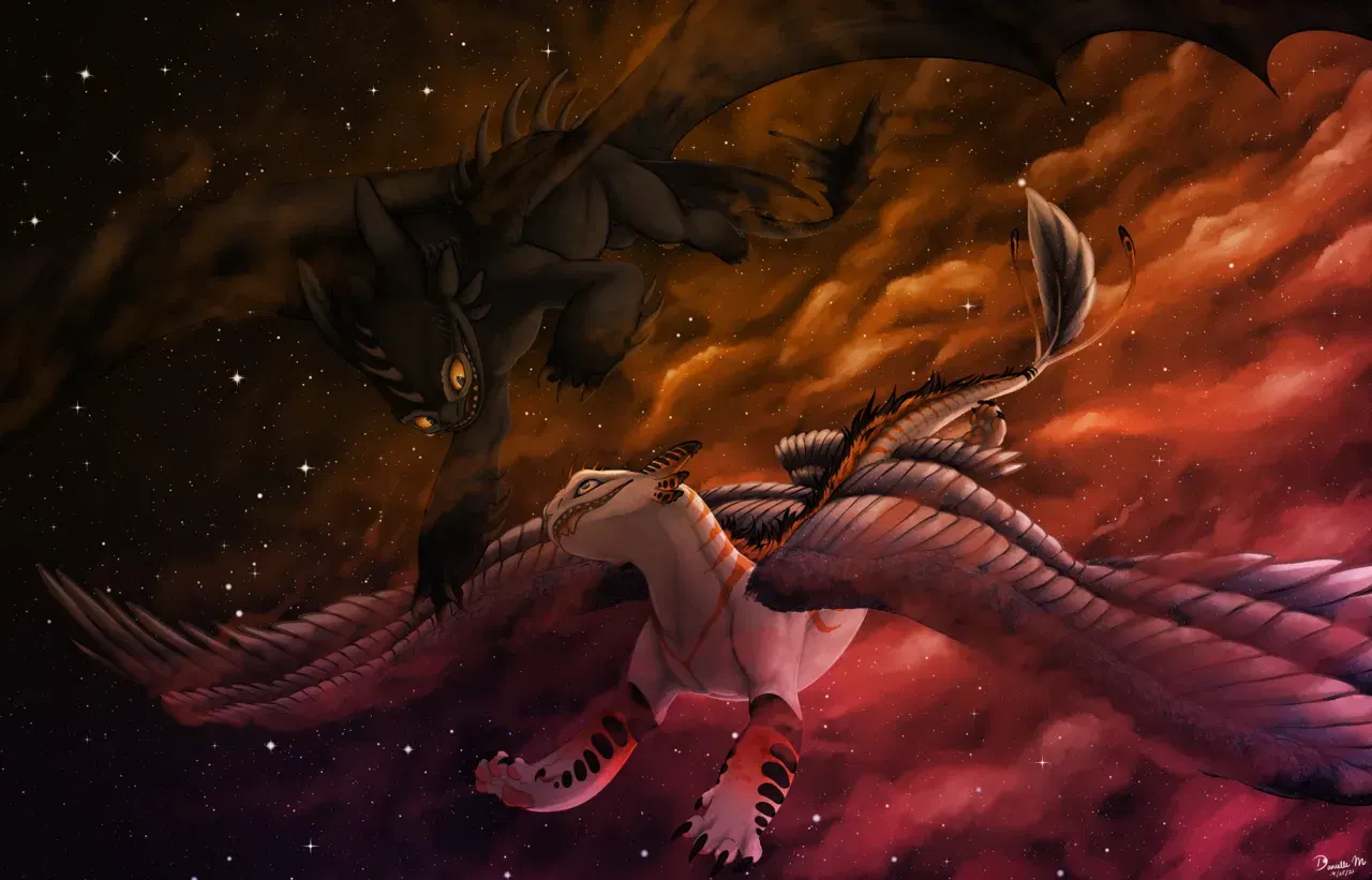 Image #41
