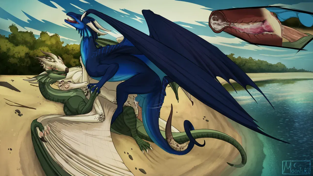 Image #481
