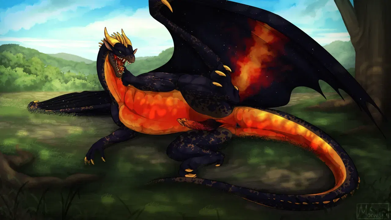 Image #555