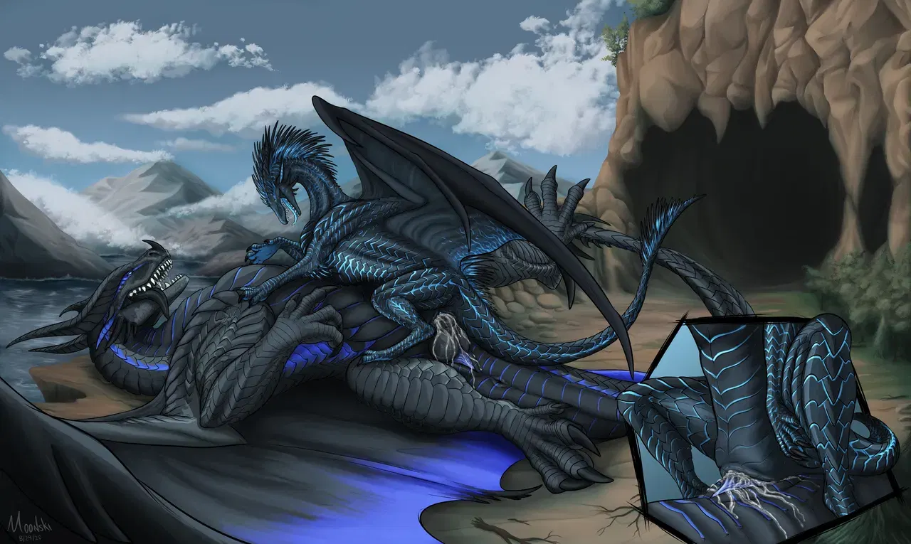Image #671