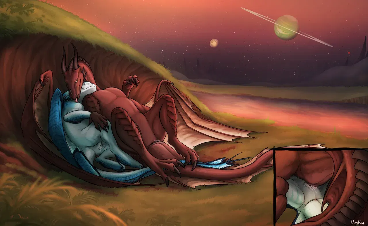 Image #707