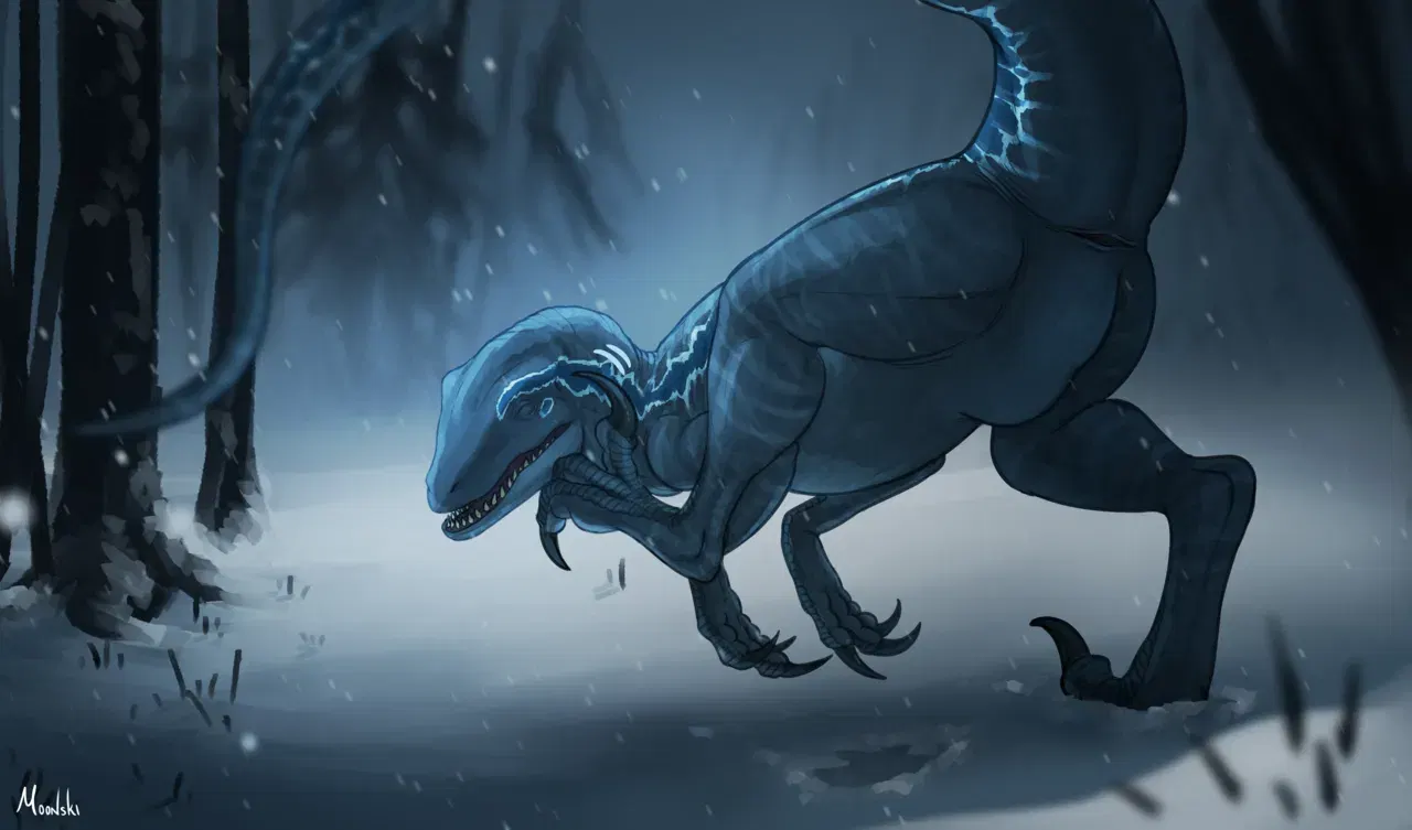 Image #75