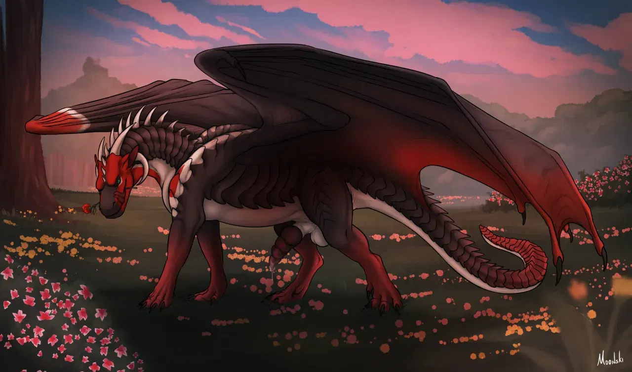 Image #78