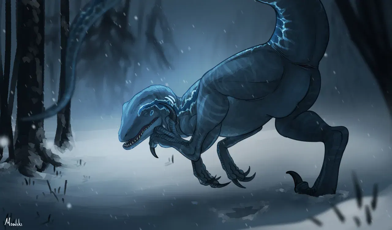 Image #81