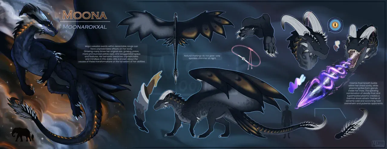 Image #854