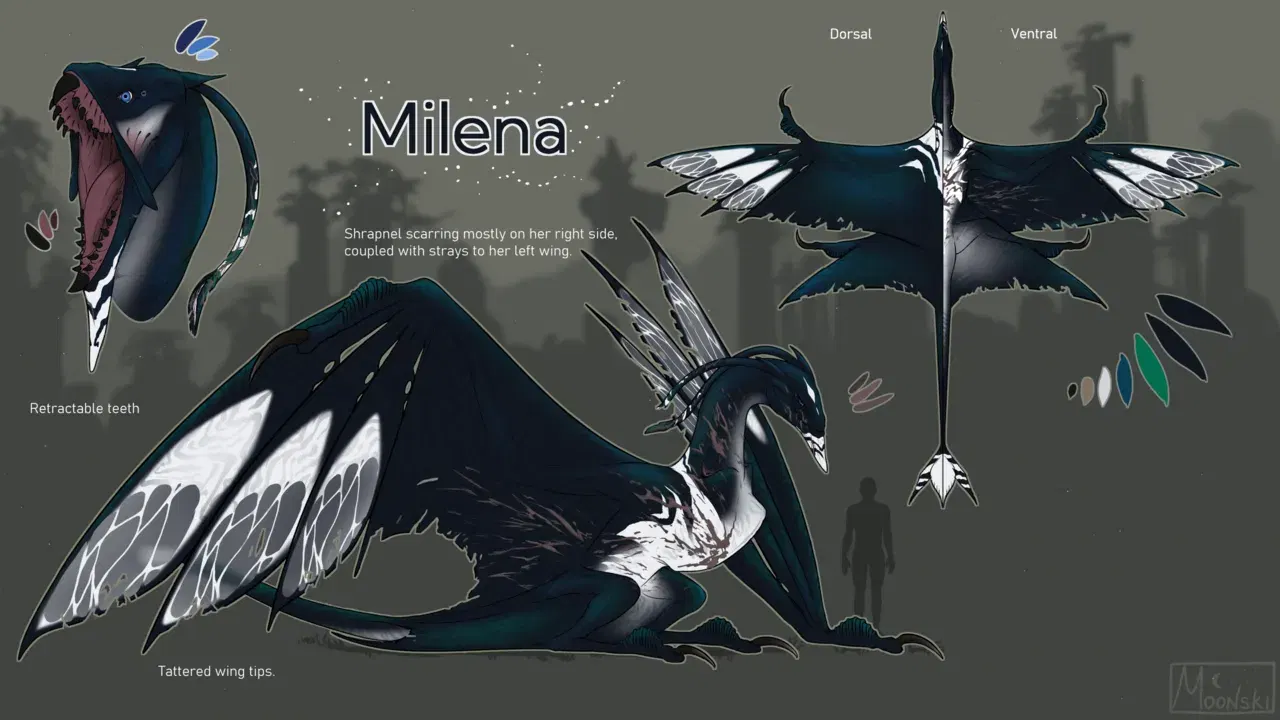 Image #882