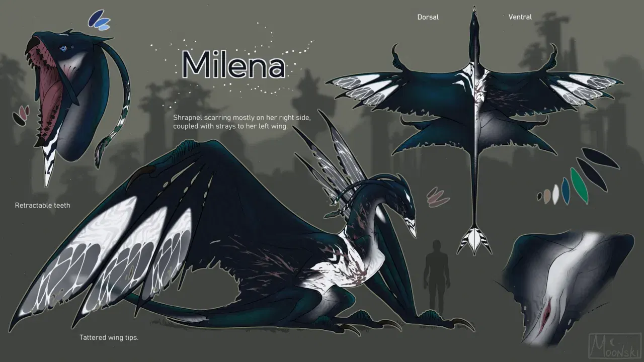 Image #883