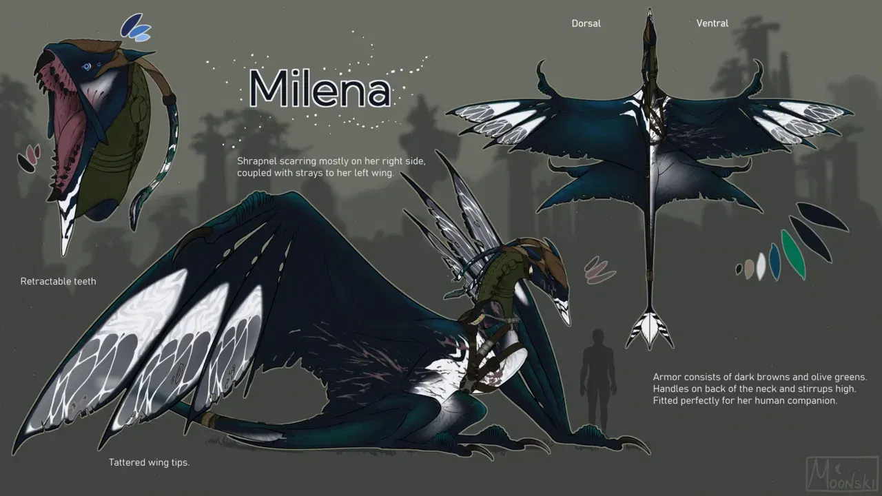 Image #884