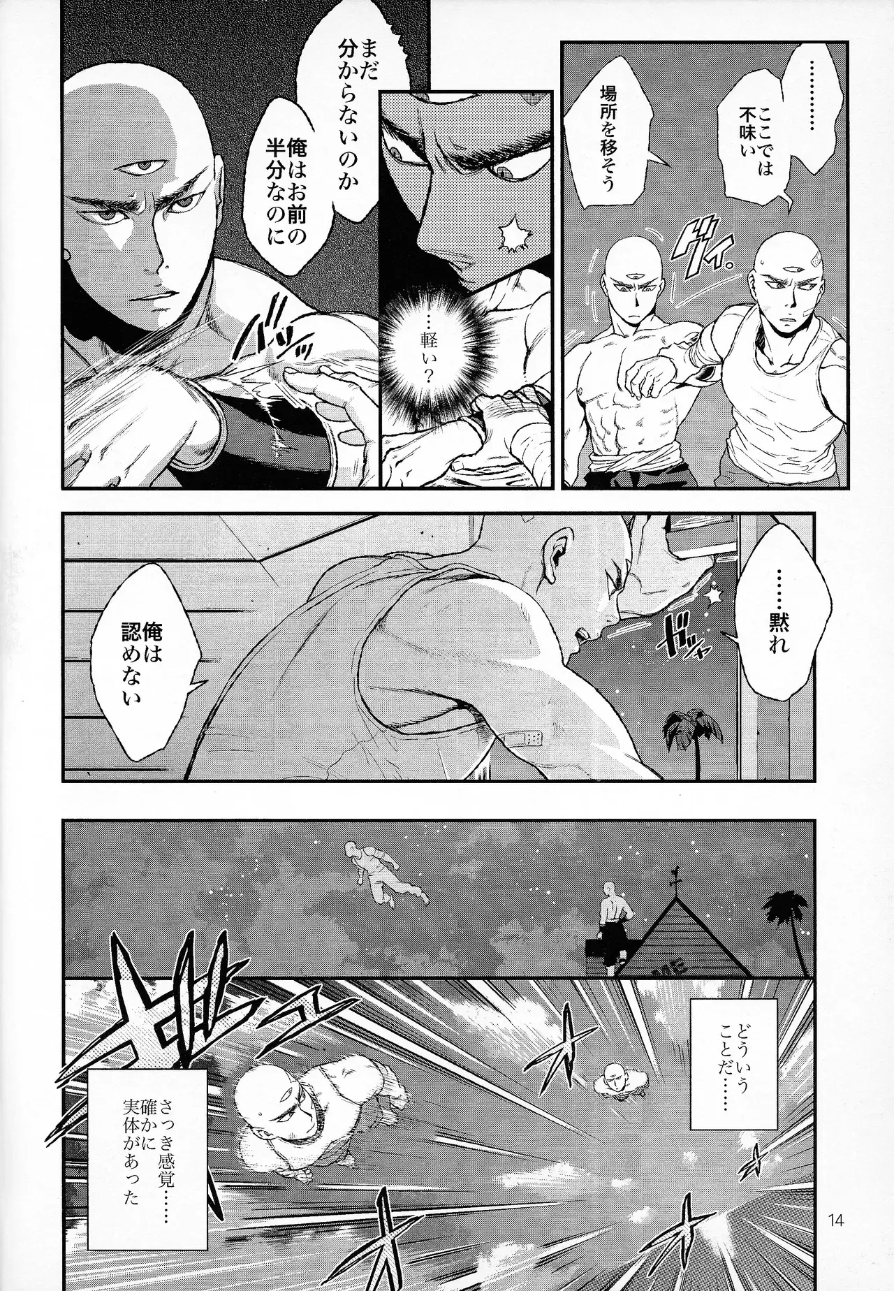 Image #12