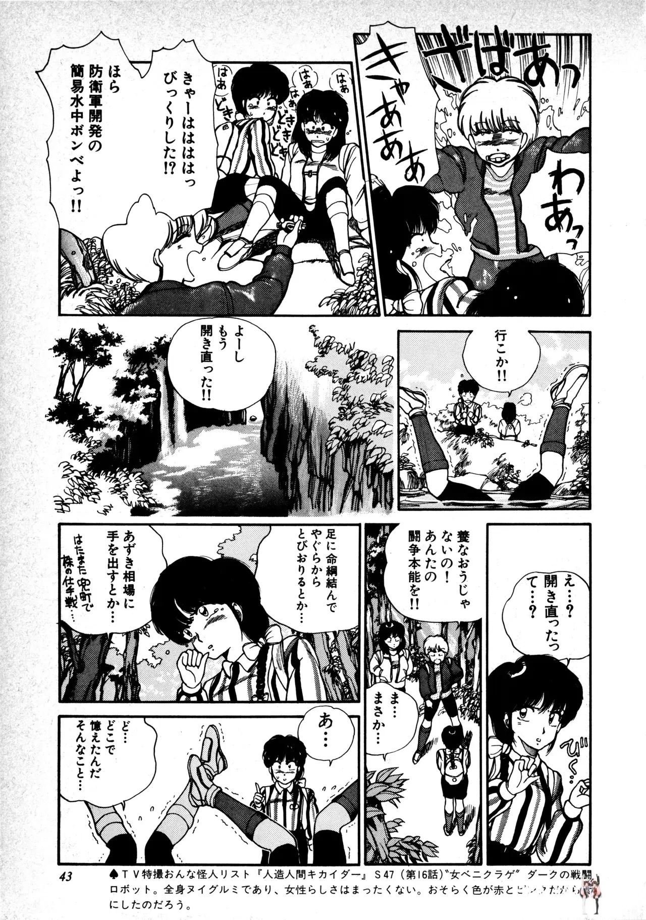 Image #45