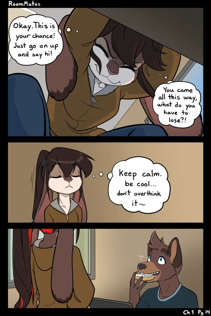 Image #14