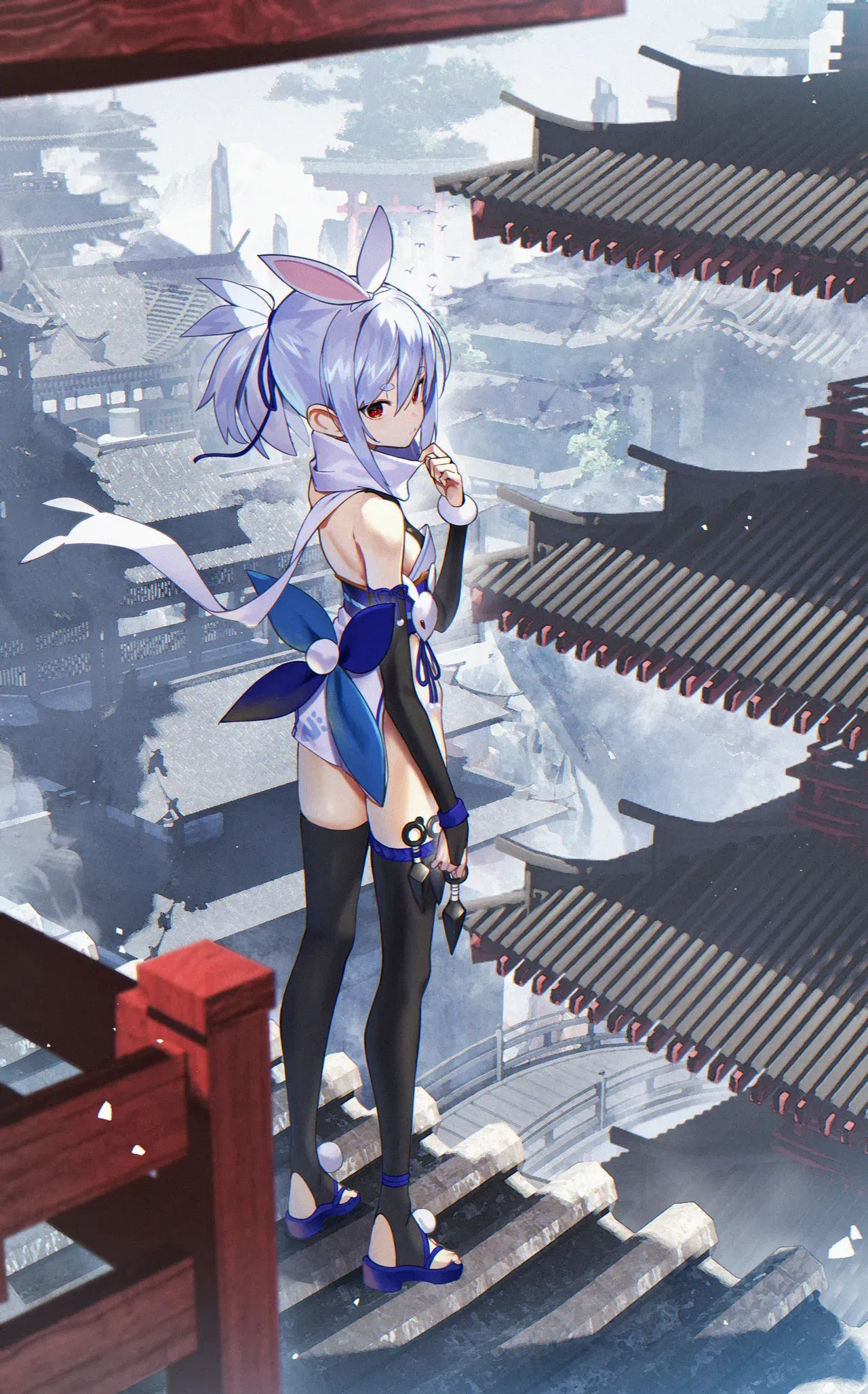 Image #254