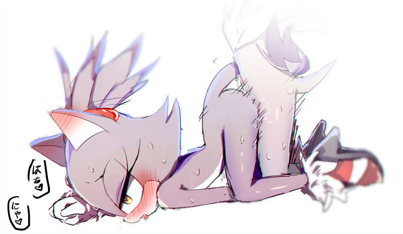 Image #11