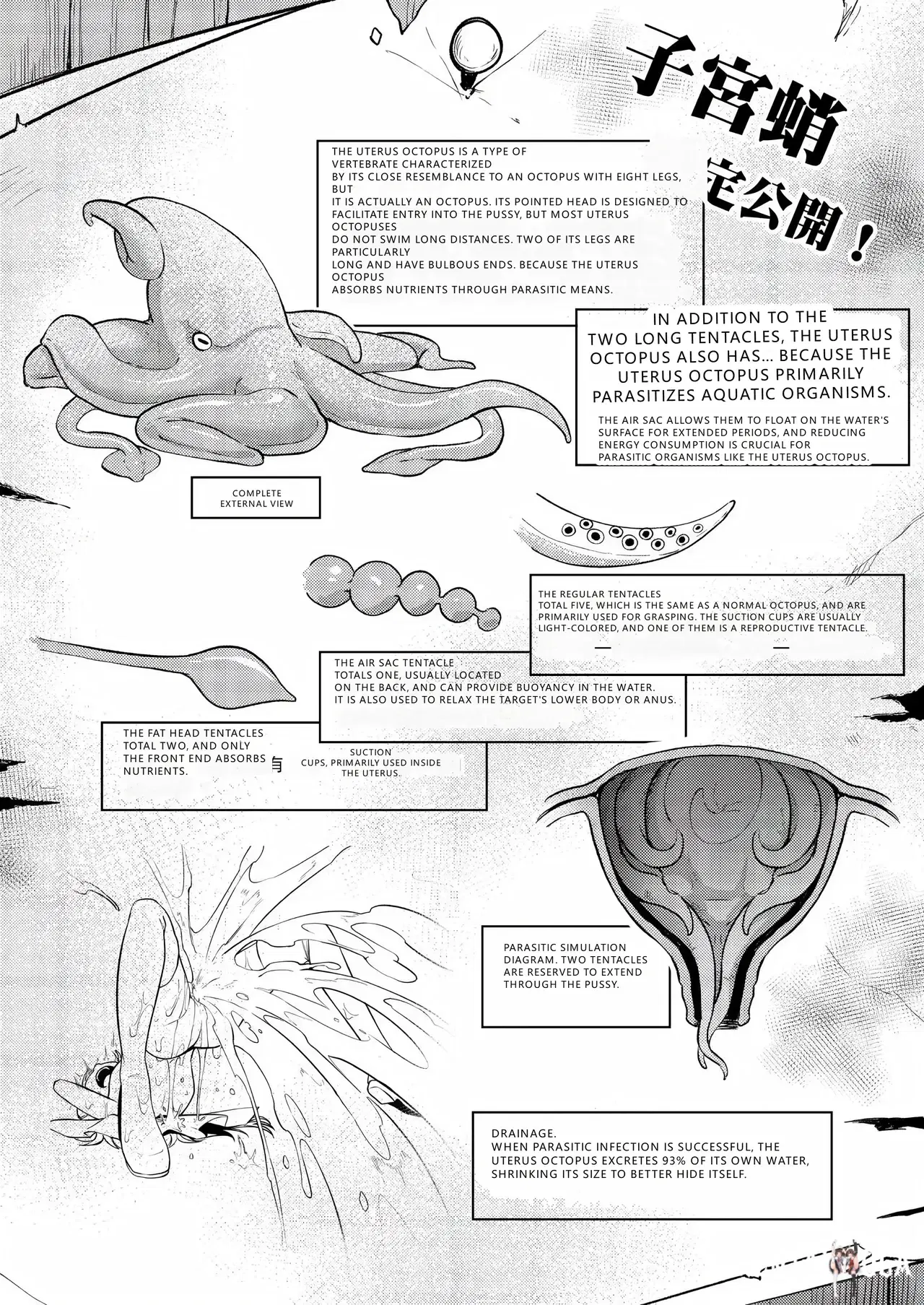 Image #21