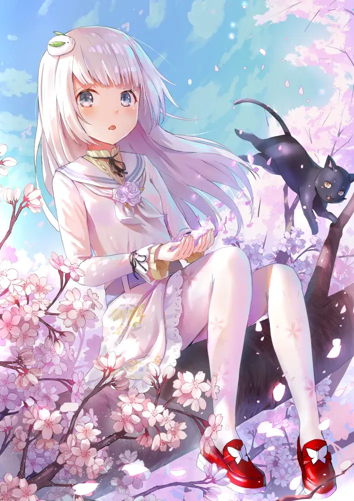 Image #250