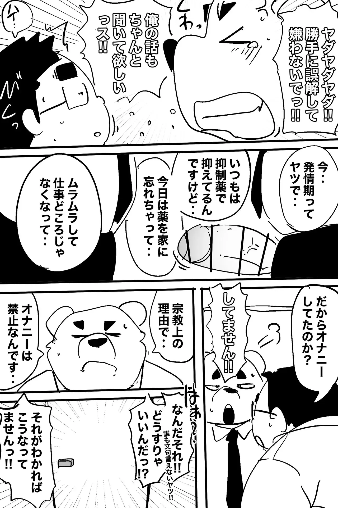 Image #12