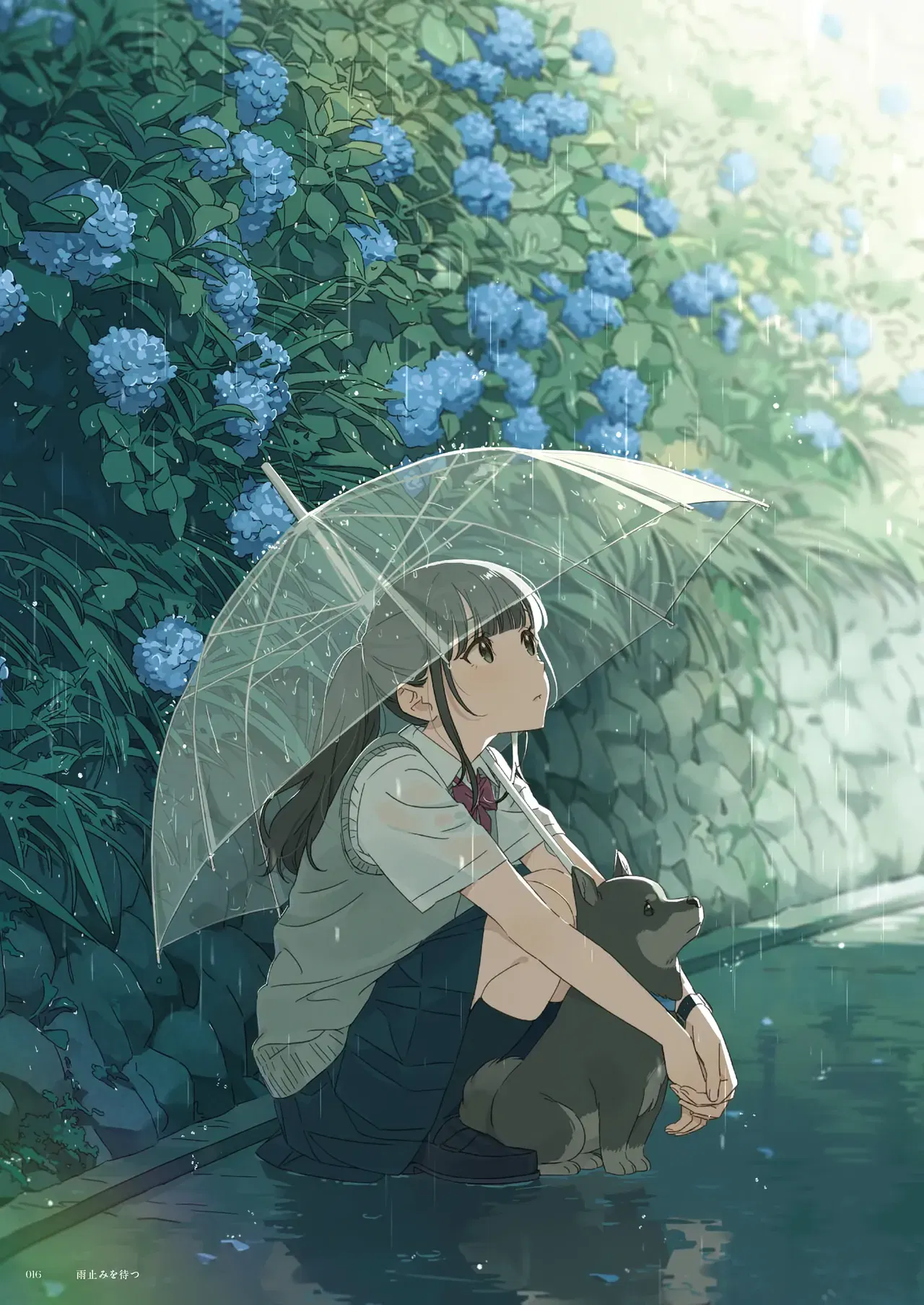 Image #14