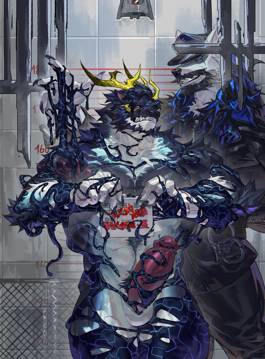 Image #15