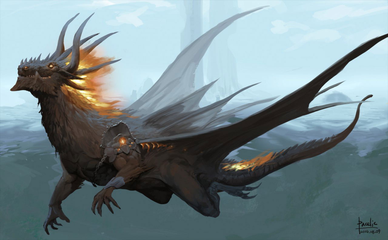 Image #341