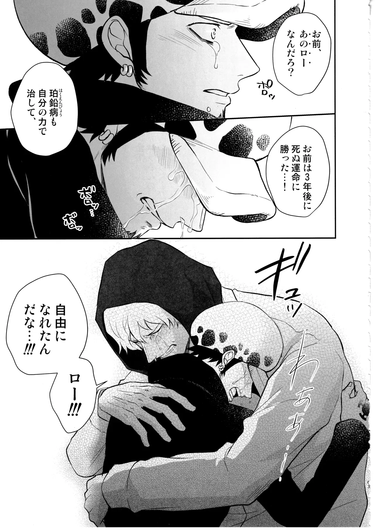 Image #62