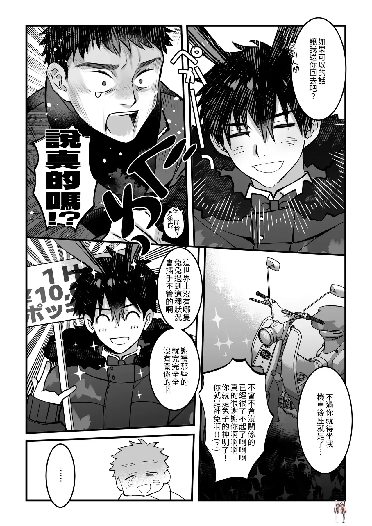 Image #12